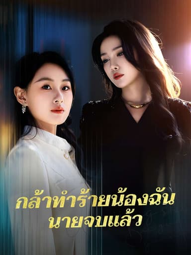 (พากย์) กล้าทำร้ายน้องฉันนายจบแล้ว