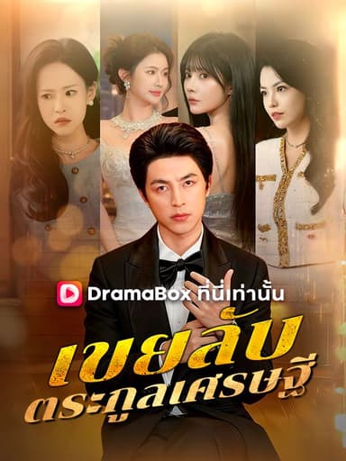 เขยลับตระกูลเศรษฐี(พากย์ไทย)