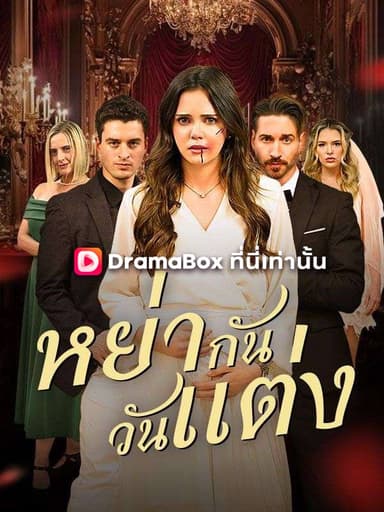 หย่ากันวันแต่ง(พากย์ไทย)